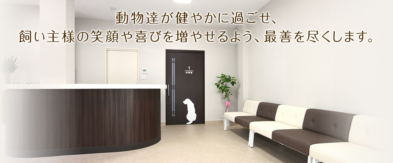 動物達が健やかに過ごせ、飼い主様の笑顔や喜びを増やせるよう、最善を尽くします。神戸市垂水区舞子の動物病院「舞子ペットクリニック」です。