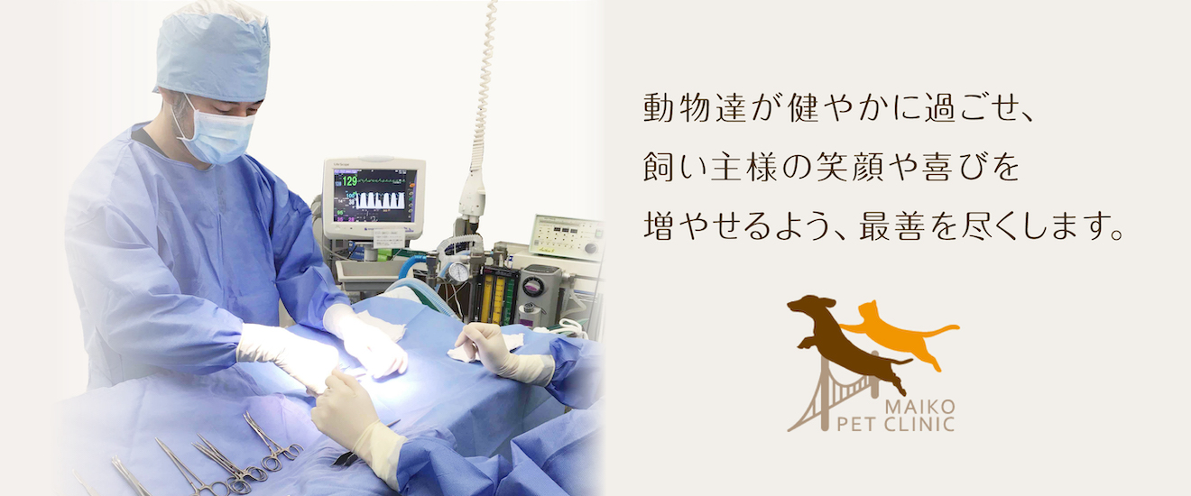 動物達が健やかに過ごせ、飼い主様の笑顔や喜びを増やせるよう、最善を尽くします。神戸市垂水区舞子の動物病院「舞子ペットクリニック」です。